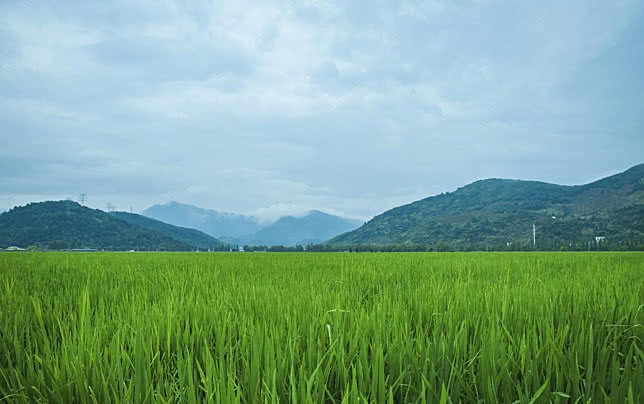 Desa Tadoy I